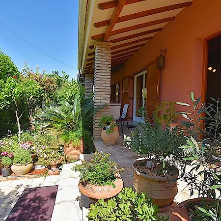 Studio Green إيبسوس